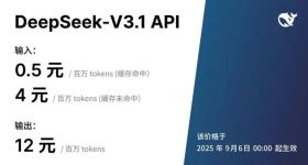 DeepSeek-V3.1正式发布