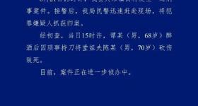 谭某醉酒后因琐事持刀将堂姐夫陈某砍伤致死，被抓获