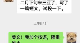 余华认证“潦草小狗”标签：气质确实有点像