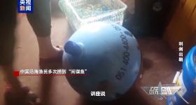 中国渔民多次捞到“间谍鱼”