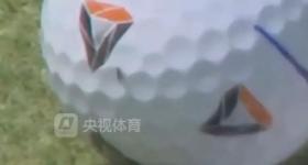 一只苍蝇助攻高尔夫名将赢百万奖金