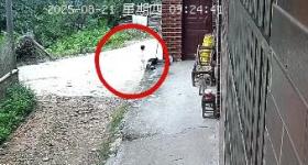 “孩子生命体征平稳！”湖南新韶突然失踪的2岁女童找到了