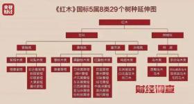 产地，假的！证书，按斤卖！曝光红木市场批量造假→