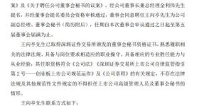 反对！可靠股份“前妻姐”在董事会上再度“开炮”
