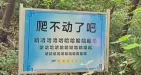 多地游客爬山遇到魔性“加油”牌：爬不动了吧，哈哈哈哈哈