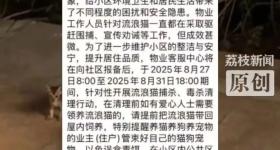 一小区物业发文：将捕杀流浪猫