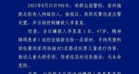 陌生女子当街锤击小孩已被警方带走