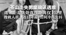 苍山走失男孩死因系体温性休克