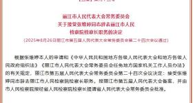 “湄公河案”、“孙小果案”的公诉人张维婷，有新职！