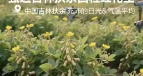 太突然！知名连锁品牌被曝大面积闭店！不少人爱逛爱吃