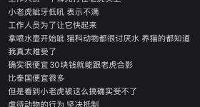 小老虎被打头呲水令其站起来与游客拍照？诸城市动物园回应