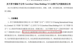 苏宁易购，12元出售12家公司