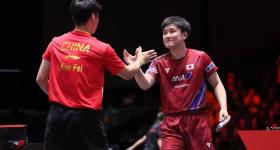 薛飞3-0横扫张本智和，国乒4人晋级男单16强