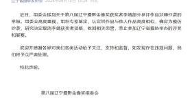 官方认定：李靖抄袭，荣誉被收回