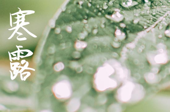 2023寒露下雨好还是晴天好 2023寒露下雨好还是晴天好呢