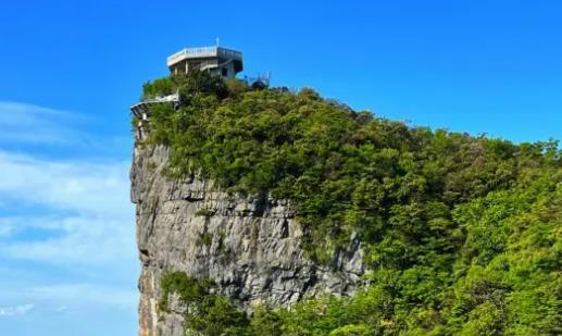 天门山被围殴游客不满处理结果