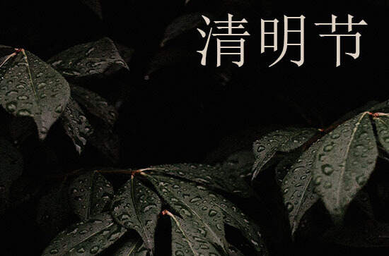 皮肤黑穿什么颜色衣服