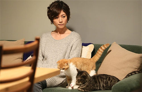 猜星座之《最完美的离婚》