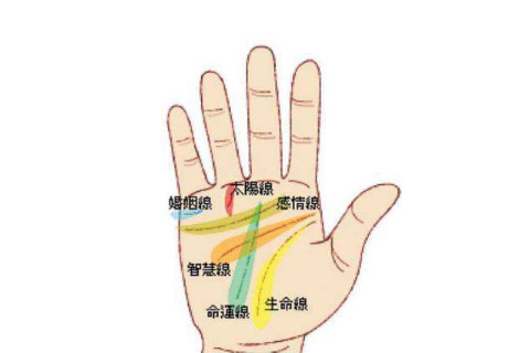 非常难得的十大吉祥手相