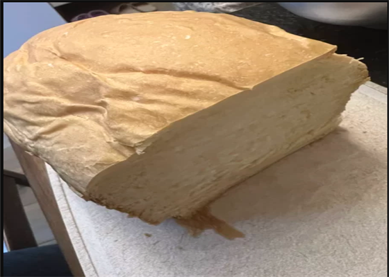面包虫吃什么食物