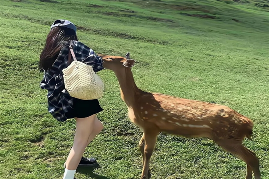 巨蟹男有多喜欢双鱼女