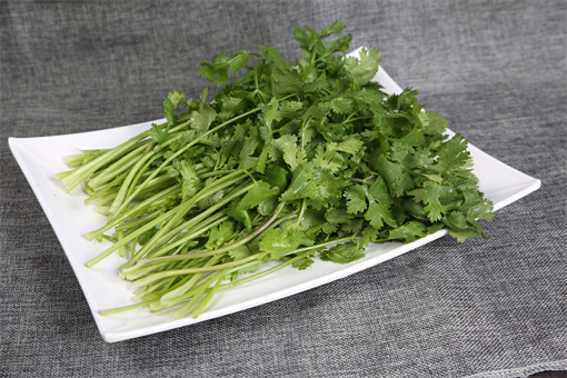 香菜叶枯病的症状及防治措施