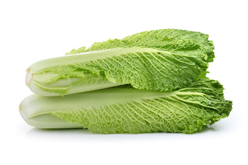 河北什么白菜最出名？玉田白菜产在哪几个乡镇？