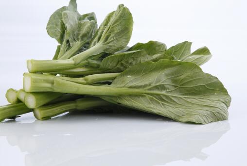 菜心是什么菜？如何种植？