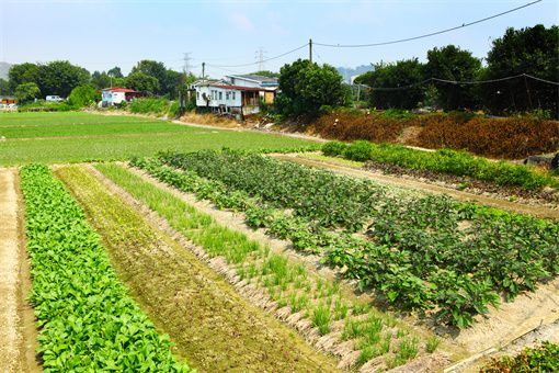 2023年全国休闲农业重点县名单公布，有你的家乡吗？