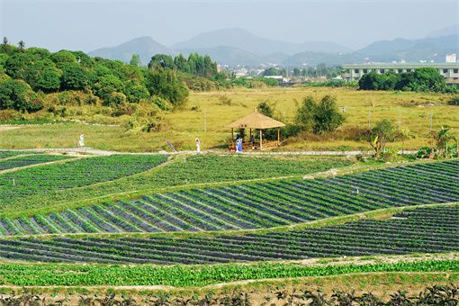 2023年全国休闲农业重点县名单公布，有你的家乡吗？