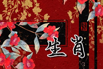 生肖猪男和什么生肖最配婚 和属兔女最适合