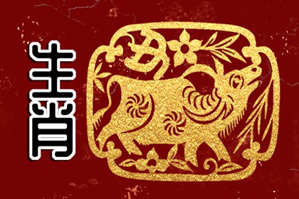 2024年出生宝宝的命格 龙年出生的男命和女命