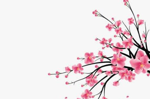 2024年农历二月二十一结婚吉日查询 适合结婚办喜事吗
